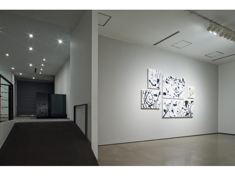 Installation View at GALLERY HYUNDAI, 2010