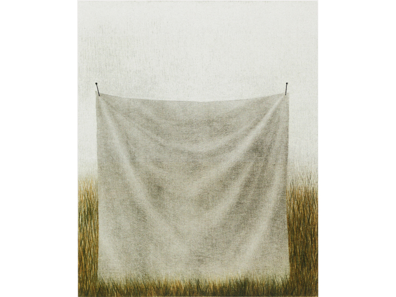 White Handkerchief on the Grass